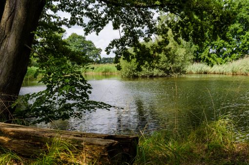 Blick über den See